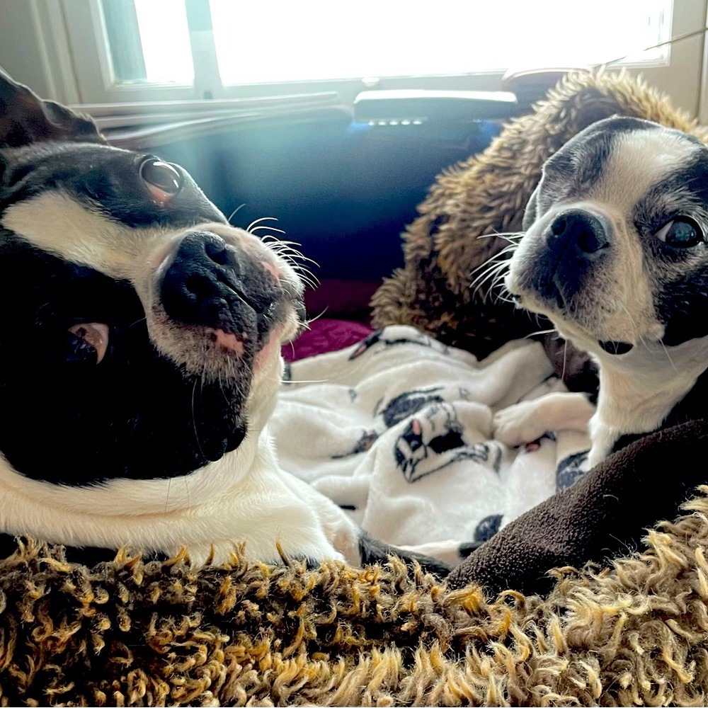 Well curated vintage and other stuff✨